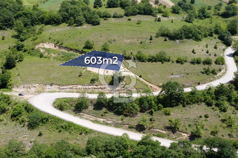 CB AKADEMİ KANDIRA AĞAÇAĞIL SATILIK 603m2 ASFALT BİR PARSEL TARLA