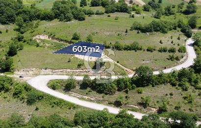CB AKADEMİ KANDIRA AĞAÇAĞIL SATILIK 603m2 ASFALT BİR PARSEL TARLA
