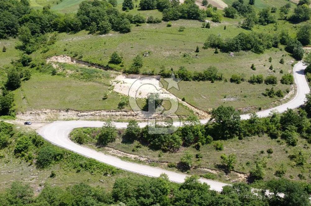 CB AKADEMİ KANDIRA AĞAÇAĞIL SATILIK 603m2 ASFALT BİR PARSEL TARLA