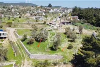 Bornova Yakaköy'de Satılık 348 m2 Zeytinlik Tarla