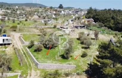 Bornova Yakaköy'de Satılık 348 m2 Zeytinlik Tarla