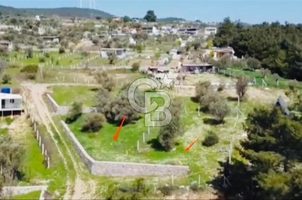 Bornova Yakaköy'de Satılık 348 m2 Zeytinlik Tarla