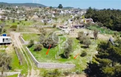 Bornova Yakaköy'de Satılık 348 m2 Zeytinlik Tarla