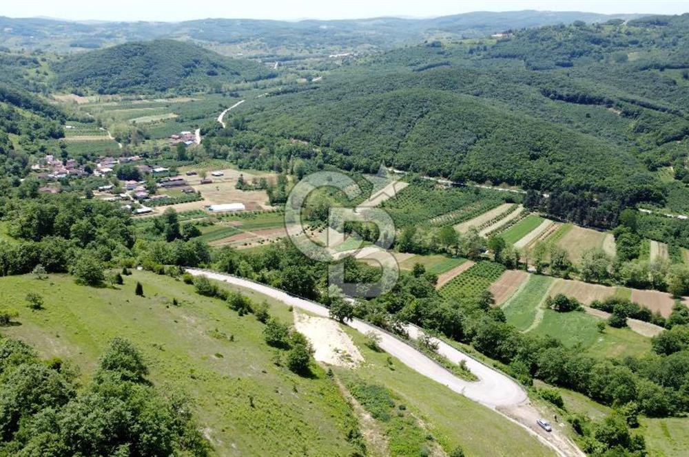 CB AKADEMİ KANDIRA AĞAÇAĞIL SATILIK 603m2 ASFALT BİR PARSEL TARLA