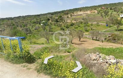 Bornova Yakaköy'de Satılık 348 m2 Zeytinlik Tarla