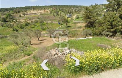 Bornova Yakaköy'de Satılık 348 m2 Zeytinlik Tarla