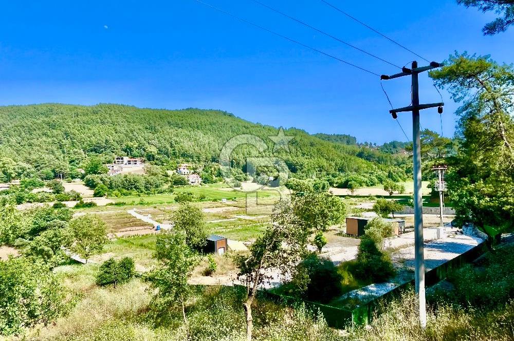 Ula Çıtlık Zeytinn House Projesinde Satılık Köşe Parsel