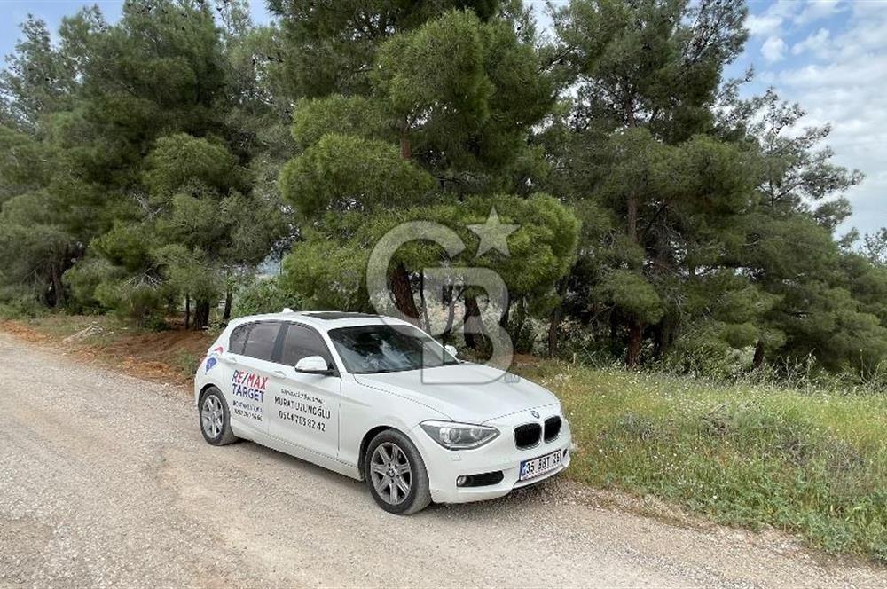 KEMALPAŞA ANSIZCA'DA KUYUCAK SINIRINDA SATILIK 7218M2 ZEYTİNLİK