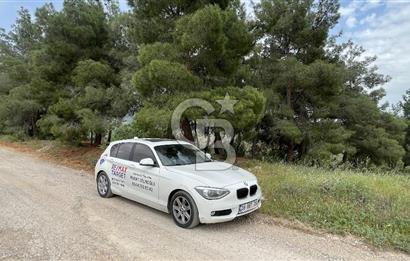 KEMALPAŞA ANSIZCA'DA KUYUCAK SINIRINDA SATILIK 7218M2 ZEYTİNLİK