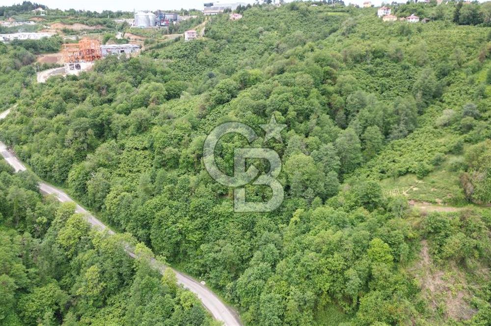 BEŞİKDÜZÜ OSB GİRİŞİ'NDE SATILIK FIRSAT ARSA