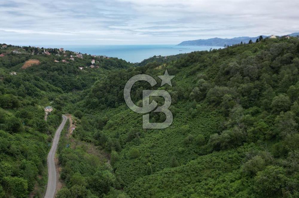 BEŞİKDÜZÜ OSB GİRİŞİ'NDE SATILIK FIRSAT ARSA