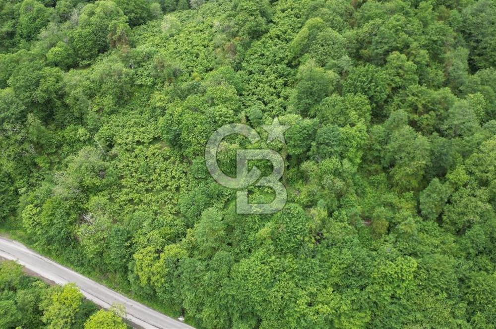BEŞİKDÜZÜ OSB GİRİŞİ'NDE SATILIK FIRSAT ARSA