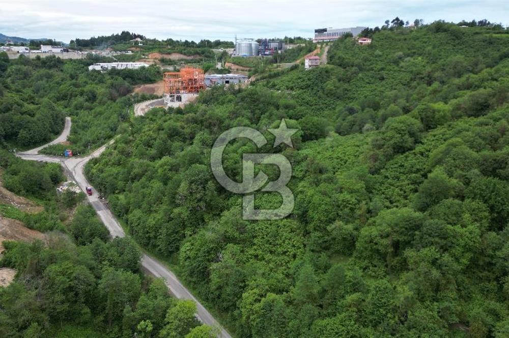 BEŞİKDÜZÜ OSB GİRİŞİ'NDE SATILIK FIRSAT ARSA