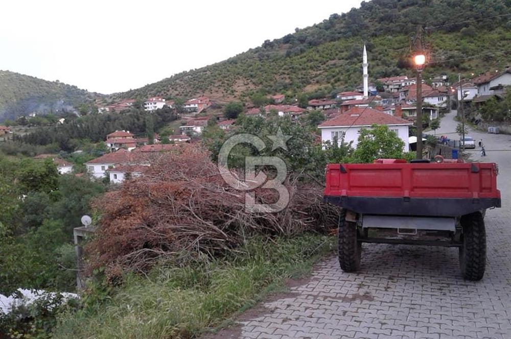 Köy Sıcaklığı ve Doğa Huzuru Bir Arada Yatırımlık Bahçe