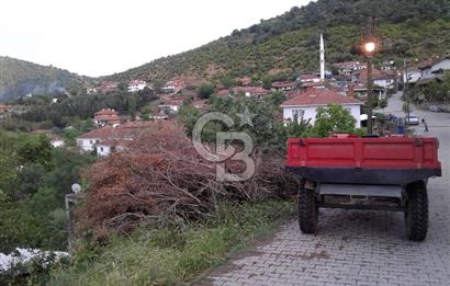Köy Sıcaklığı ve Doğa Huzuru Bir Arada Yatırımlık Bahçe