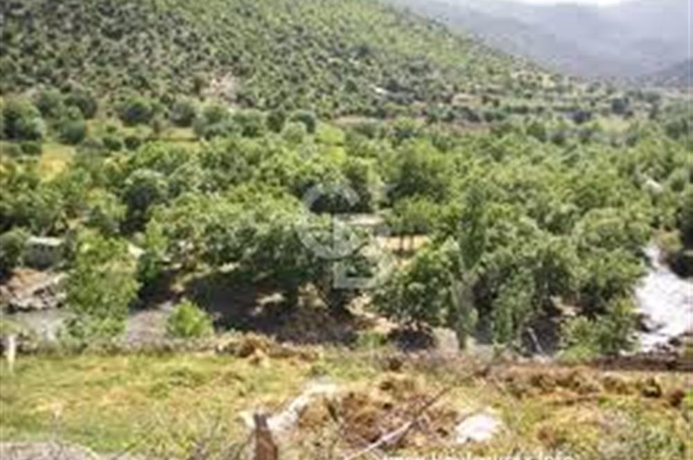 Köy Sıcaklığı ve Doğa Huzuru Bir Arada Yatırımlık Bahçe