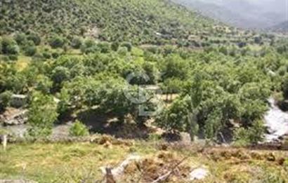Köy Sıcaklığı ve Doğa Huzuru Bir Arada Yatırımlık Bahçe