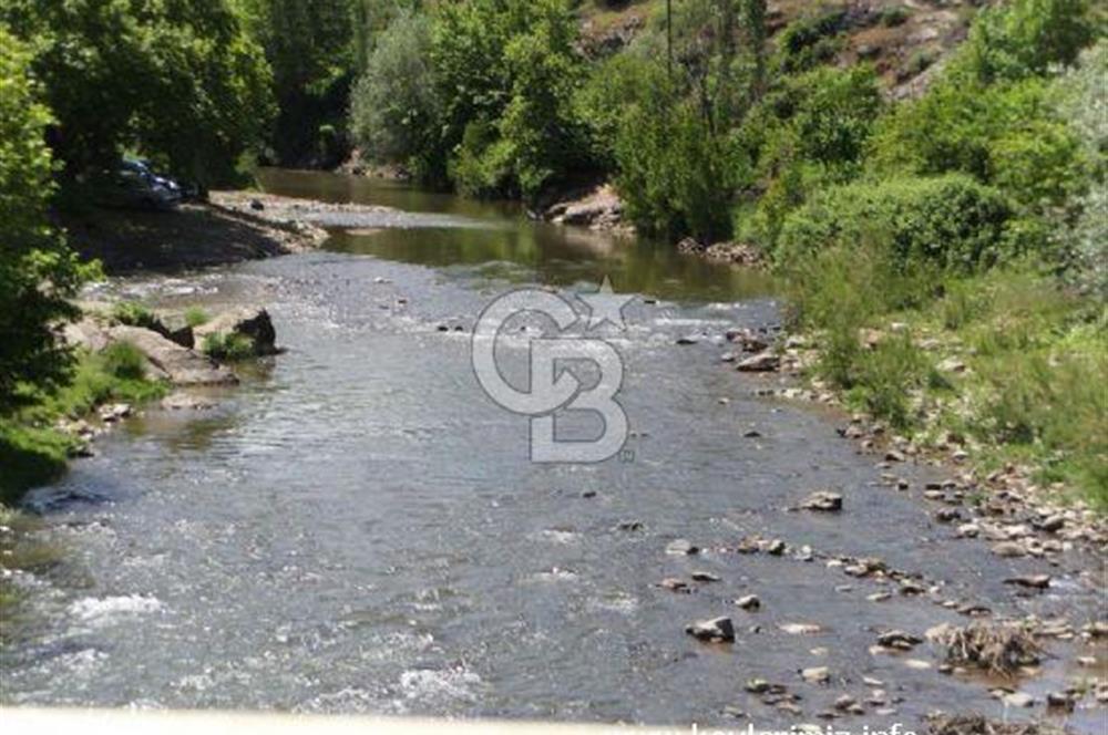 Köy Sıcaklığı ve Doğa Huzuru Bir Arada Yatırımlık Bahçe