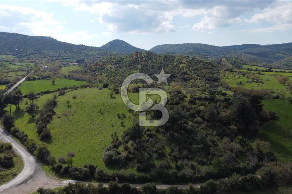 ÇANAKKALE AYVACIK'TA PROJEDEN VİLLA SAHİBİ OLMA FIRSATI