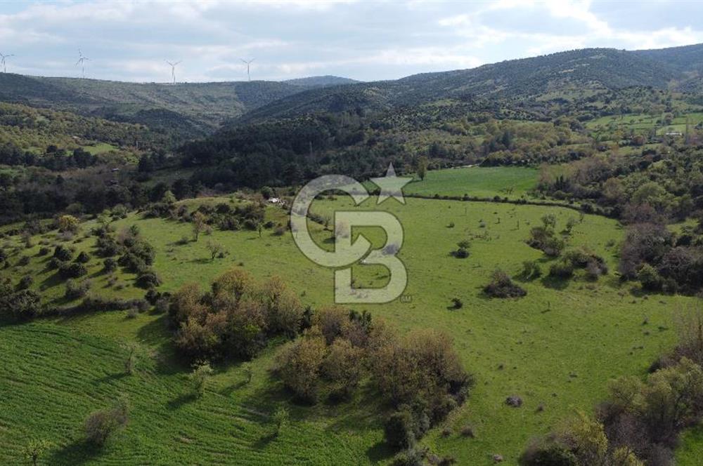 ÇANAKKALE AYVACIK'TA PROJEDEN VİLLA SAHİBİ OLMA FIRSATI