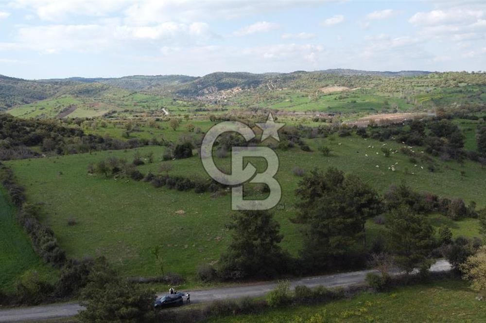 ÇANAKKALE AYVACIK'TA PROJEDEN VİLLA SAHİBİ OLMA FIRSATI