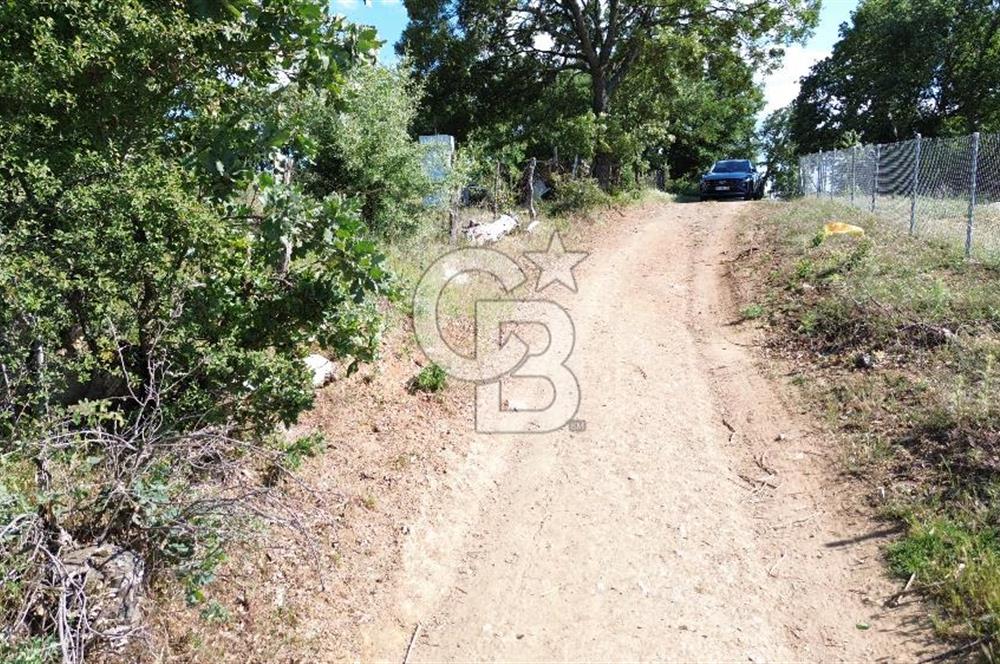 ÇANAKKALE SALİHLİ KAYIŞLAR KÖYÜ SATILIK FIRSAT TARLA