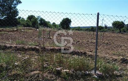 ÇANAKKALE SALİHLİ KAYIŞLAR KÖYÜ SATILIK FIRSAT TARLA