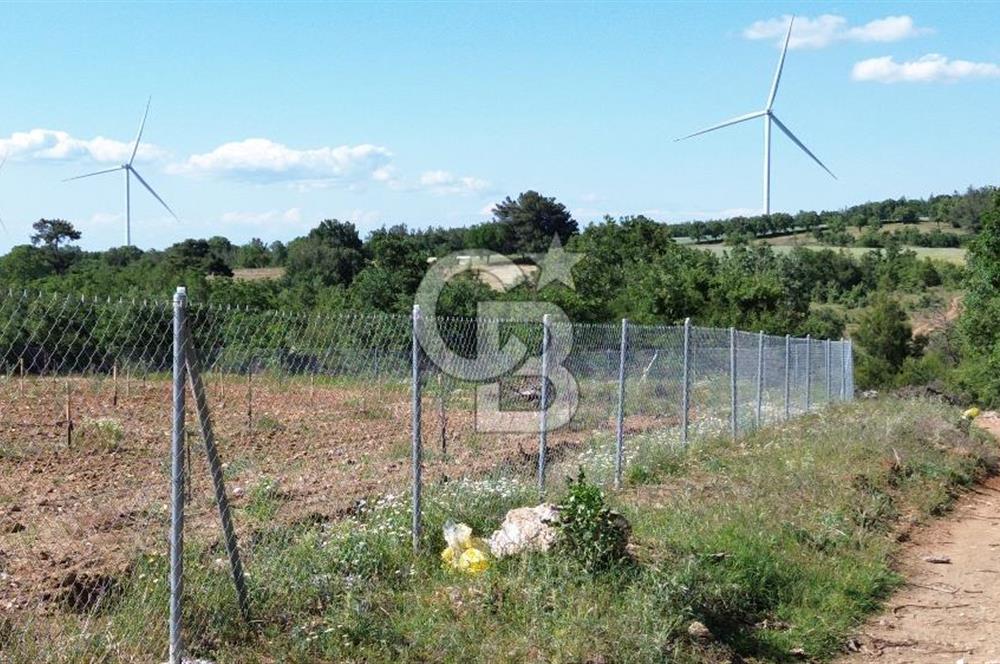 ÇANAKKALE SALİHLİ KAYIŞLAR KÖYÜ SATILIK FIRSAT TARLA