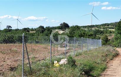 ÇANAKKALE SALİHLİ KAYIŞLAR KÖYÜ SATILIK FIRSAT TARLA