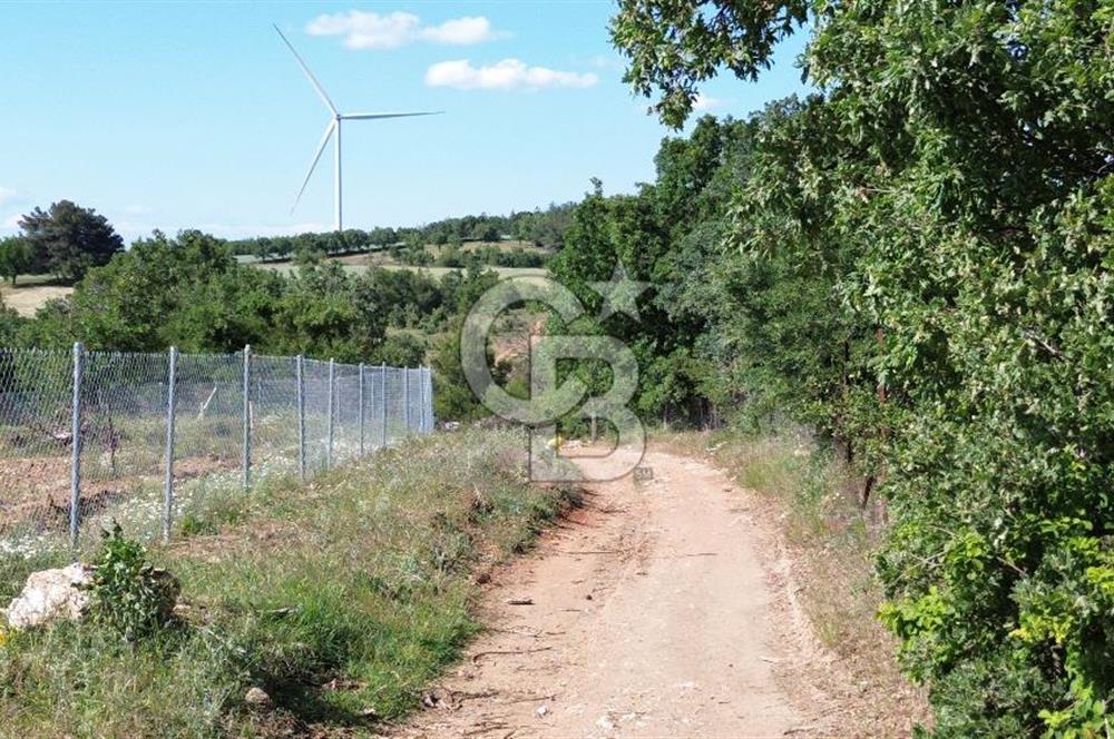 ÇANAKKALE SALİHLİ KAYIŞLAR KÖYÜ SATILIK FIRSAT TARLA
