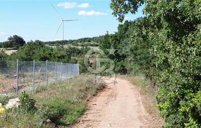 ÇANAKKALE SALİHLİ KAYIŞLAR KÖYÜ SATILIK FIRSAT TARLA