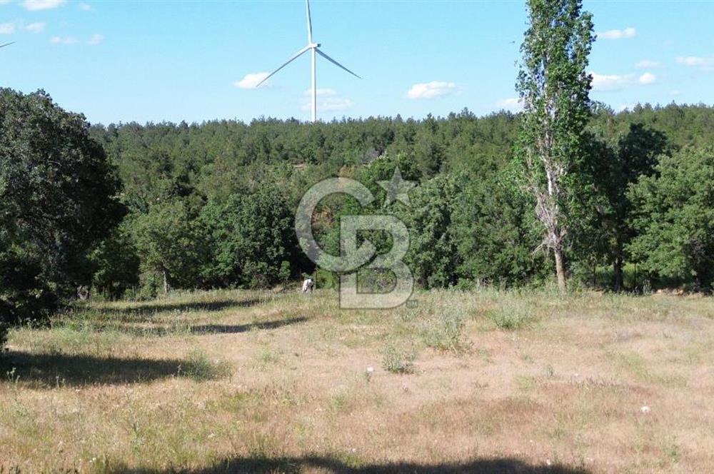 ÇANAKKALE SALİHLİ KAYIŞLAR KÖYÜ SATILIK FIRSAT TARLA