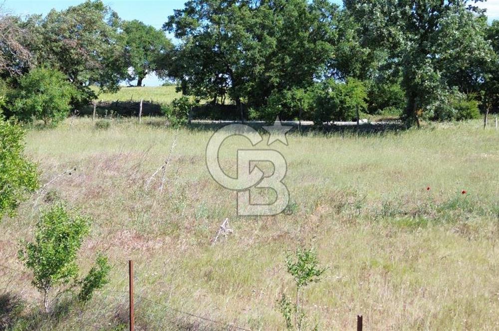 ÇANAKKALE SALİHLİ KAYIŞLAR KÖYÜ SATILIK FIRSAT TARLA