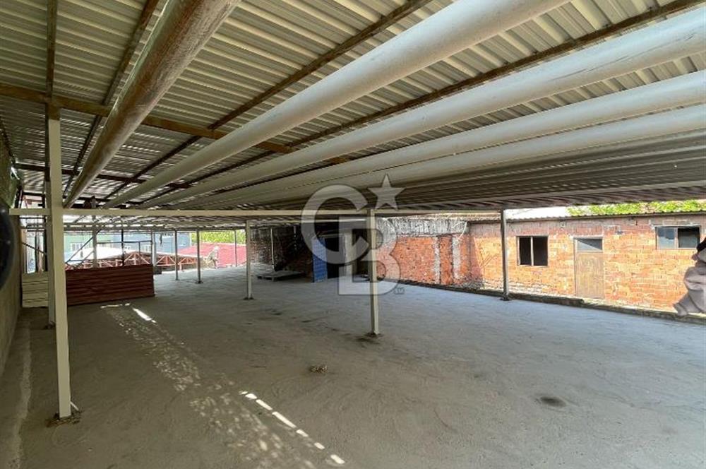 Yüksek Cirolu Faal Devren Halı Yıkama Fabrikası