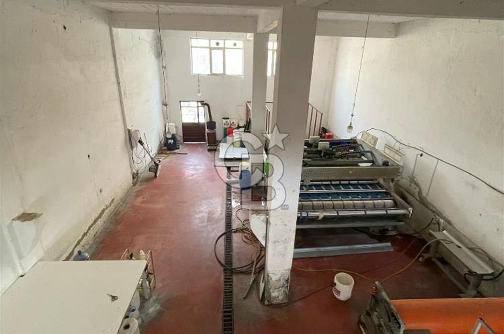Yüksek Cirolu Faal Devren Halı Yıkama Fabrikası