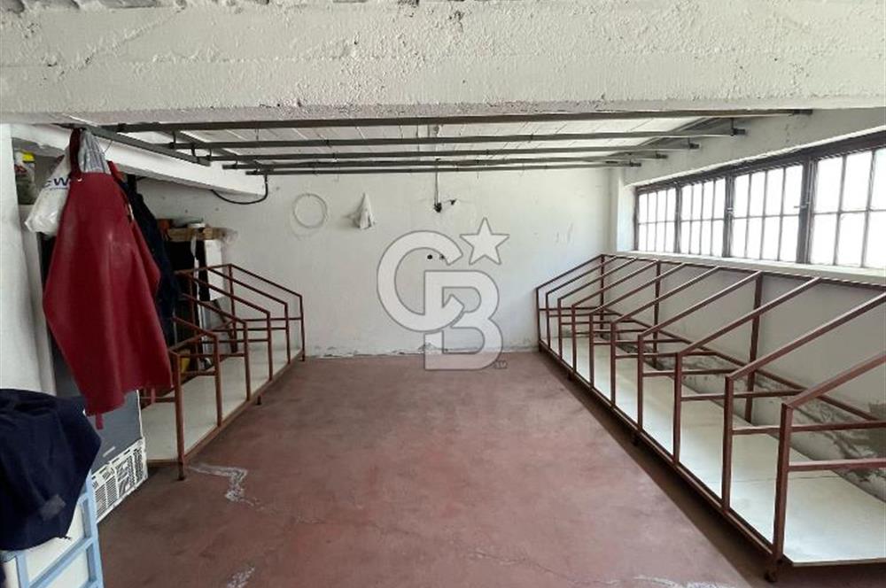 Yüksek Cirolu Faal Devren Halı Yıkama Fabrikası
