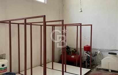 Yüksek Cirolu Faal Devren Halı Yıkama Fabrikası