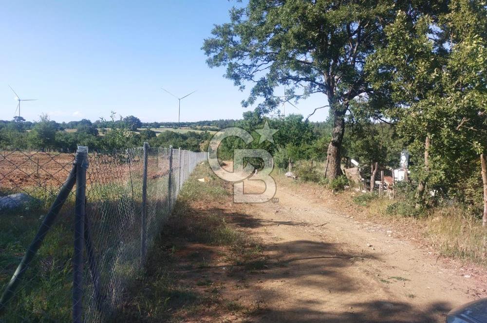 ÇANAKKALE SALİHLİ KAYIŞLAR KÖYÜ SATILIK FIRSAT TARLA