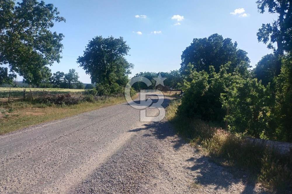ÇANAKKALE SALİHLİ KAYIŞLAR KÖYÜ SATILIK FIRSAT TARLA