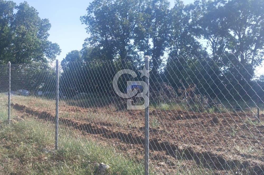 ÇANAKKALE SALİHLİ KAYIŞLAR KÖYÜ SATILIK FIRSAT TARLA