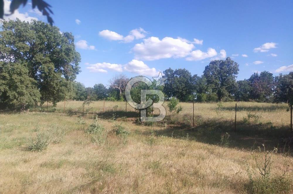 ÇANAKKALE SALİHLİ KAYIŞLAR KÖYÜ SATILIK FIRSAT TARLA