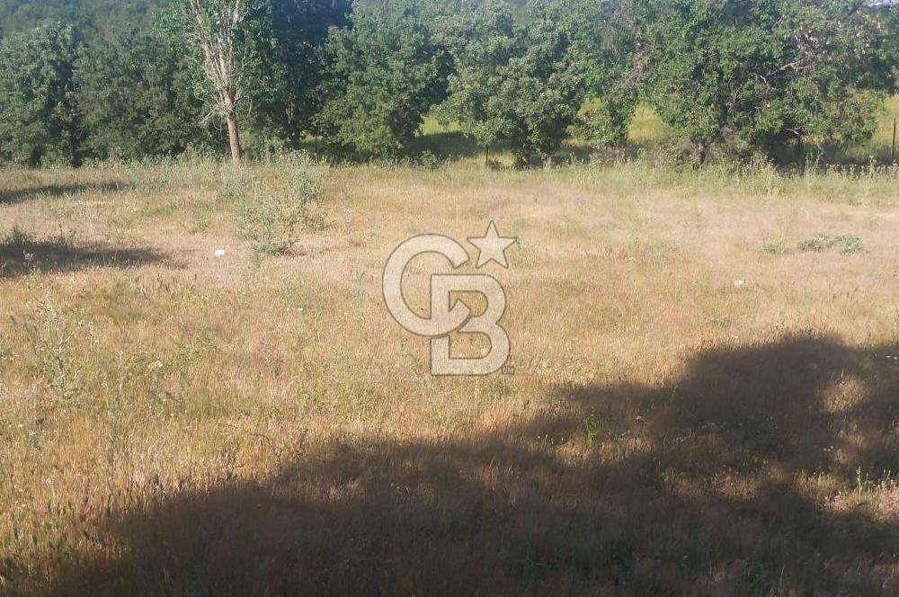 ÇANAKKALE SALİHLİ KAYIŞLAR KÖYÜ SATILIK FIRSAT TARLA