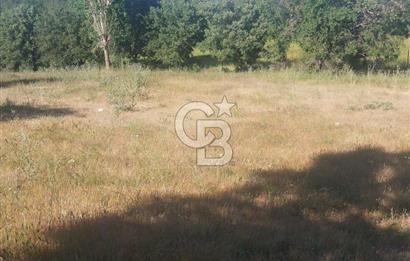 ÇANAKKALE SALİHLİ KAYIŞLAR KÖYÜ SATILIK FIRSAT TARLA