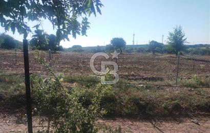 ÇANAKKALE SALİHLİ KAYIŞLAR KÖYÜ SATILIK FIRSAT TARLA