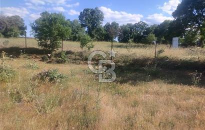 ÇANAKKALE SALİHLİ KAYIŞLAR KÖYÜ SATILIK FIRSAT TARLA