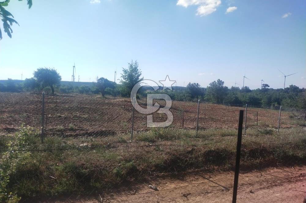 ÇANAKKALE SALİHLİ KAYIŞLAR KÖYÜ SATILIK FIRSAT TARLA
