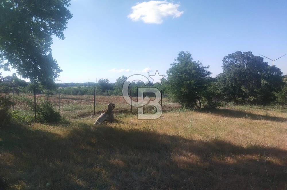ÇANAKKALE SALİHLİ KAYIŞLAR KÖYÜ SATILIK FIRSAT TARLA
