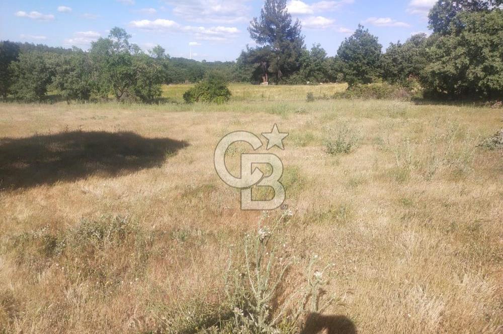 ÇANAKKALE SALİHLİ KAYIŞLAR KÖYÜ SATILIK FIRSAT TARLA