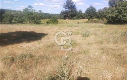 ÇANAKKALE SALİHLİ KAYIŞLAR KÖYÜ SATILIK FIRSAT TARLA