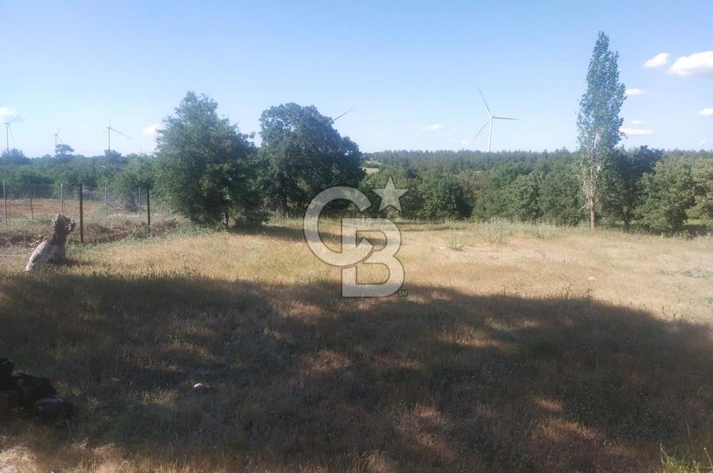 ÇANAKKALE SALİHLİ KAYIŞLAR KÖYÜ SATILIK FIRSAT TARLA